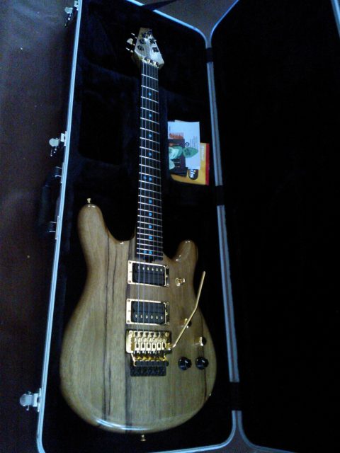 Custom electric guitar, studio photo. Built by William Gelvin, Gelvin Guitars