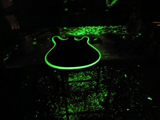 Electric guitar built from scratch. Built by William Gelvin, Gelvin Guitars